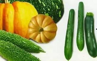 对照组吃瓜,揭秘吃瓜群众的视角与真相