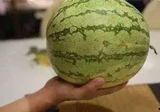 史上最铁的吃瓜