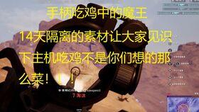 搞笑呆瓜吃鸡,欢乐无限，笑料横生！