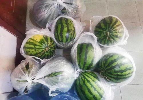 吃瓜明画,揭秘娱乐圈背后的故事